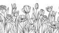 Seamless horizontal vector pattern garden tulips